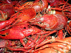 Louisiana crawfish