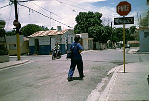 Street in Mao