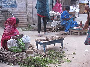 Neem Twig sellers