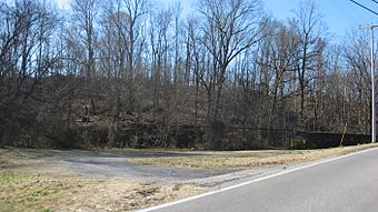 Nelson's Greenbrier Distillery site.jpg