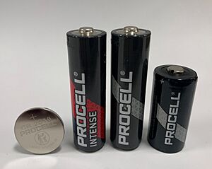 Procell Batteries