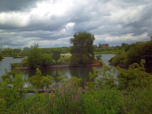 Sheepwash Urban Park island