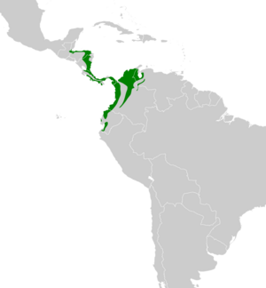Thalurania colombica map.svg