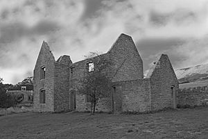 Tynham-gardeners