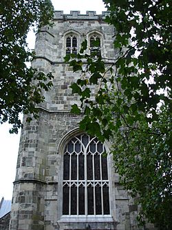 Wimborne Minster 2