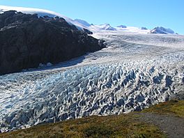 1055 - exit glacier.jpg