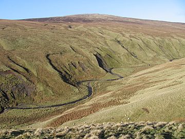 Across Fin Glen and Craigbarnet Muir to Earl's Seat - geograph.org.uk - 338524.jpg