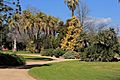 Albury botanical gardens 2