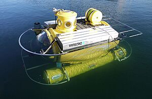 Antipodes Submersible