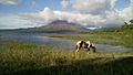 Arenal Lake