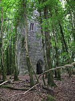 Ashford Castle's Guinness Tower