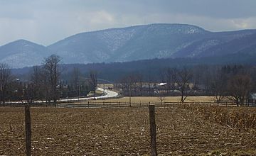 Big Mountain Summit.jpg