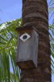 Bird house in brazil