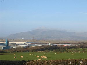 Black Combe View