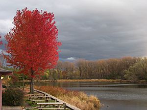 Boathouse 1