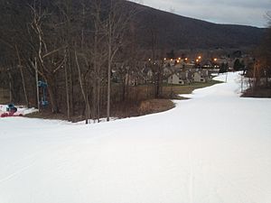 Bristol Mountain base housing