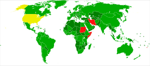 CEDAW Participation