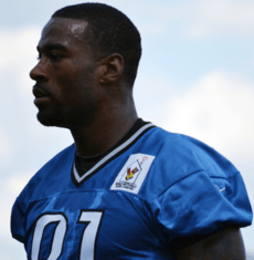 Calvin Johnson (cropped)