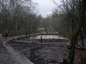 Canal at Medlock aqueduct.JPG