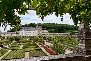 Chateau-Villandry-VueGenerale-Jardins