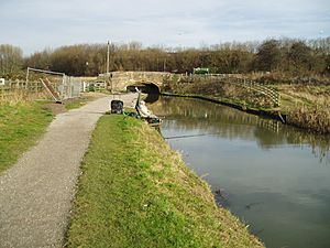 ChesterfieldCanalMillGreenBridge