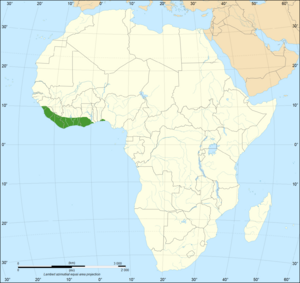 Dendroaspis viridis distribution map.png