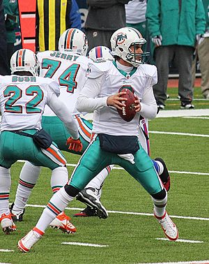 Dolphins quarterback Matt Moore