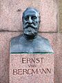 Ernst Bergmann3 2010-04-09