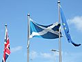 Flags outside Parliament