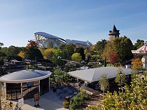 Fondation Louis Vuitton 5