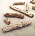 Fulgurites-algeria