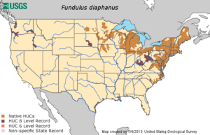 Fundulus diaphanus range map.png