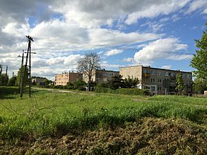 Grunwald village-overview.jpg