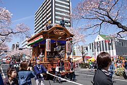 Hitachi Sakura Festival, Ibaraki 02