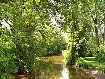 Irondequoit Creek in Ellison Park.jpg