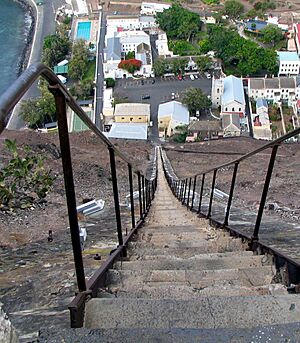 Jamestown Jacobs Ladder