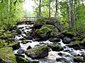 Kannonkoski rapids