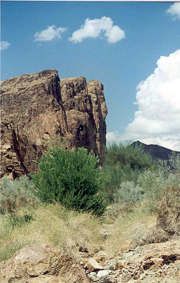 Morgan Peak in the Muggins Mountains.jpg