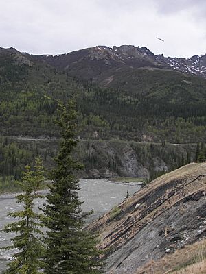 Nenana Overlook.jpg