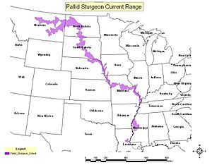 Pallid Sturgeon range map.JPG