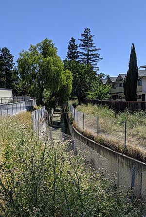 Permanente Creek by Crittenden School