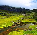 Repuk Makalu Barun Valley Nepal