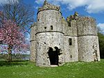 Roughan Castle Geograph.jpg