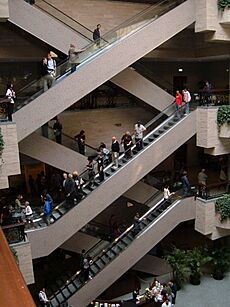 Shanghai Museum escalators