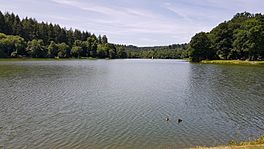 Shearwater Lake view.jpg