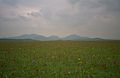 South Uist machair (timniblett)