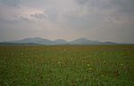 South Uist machair (timniblett).jpg