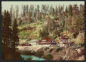 Spring House, Shasta Springs, Cal-LCCN2008678119