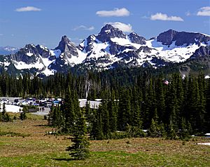 Sunrise Area, Cowlitz Chinmeys