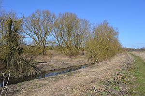 Thorley Wash 9.JPG